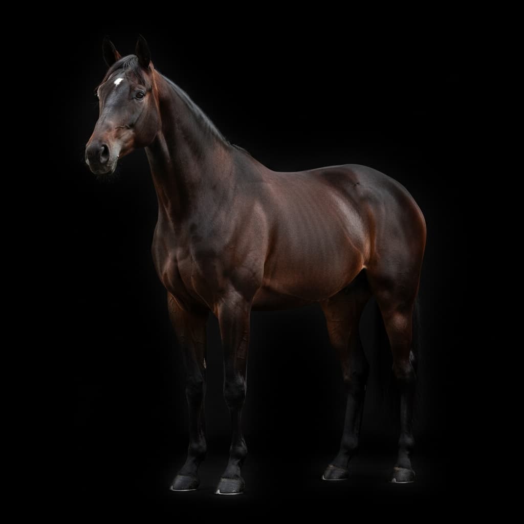 black background studio 79184390